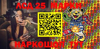 индика Гусь-Хрустальный