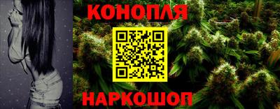 индика Гусь-Хрустальный