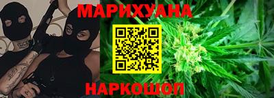 индика Гусь-Хрустальный