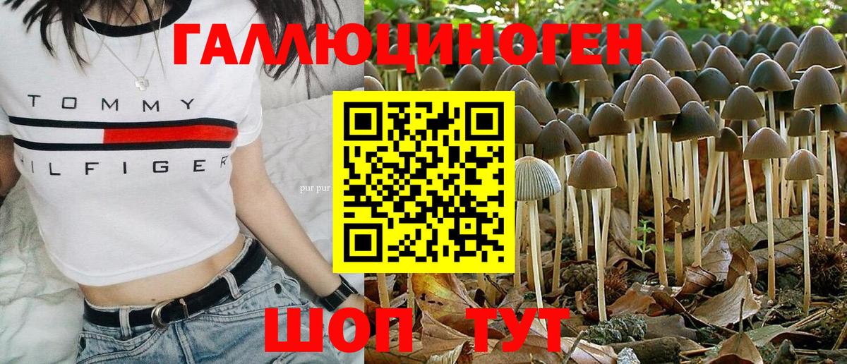 Псилоцибиновые грибы мухоморы  Вход с VPN  Моздок 